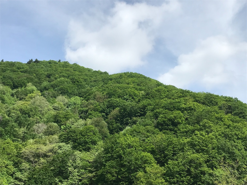 f:id:ken-goldjapan:20230521214502j:image f:id:ken-goldjapan:20230521214502j:image