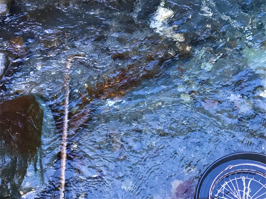 初掘り2024 - 砂金に魅せられて！金狼の日々