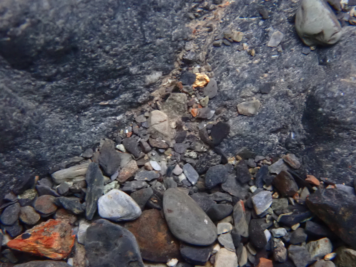 初掘り2024 - 砂金に魅せられて！金狼の日々