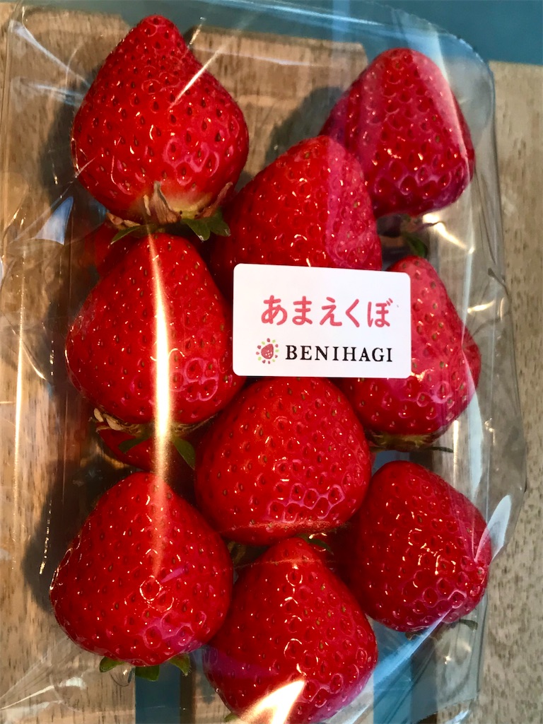 f:id:ken-goldjapan:20250111211421j:image
