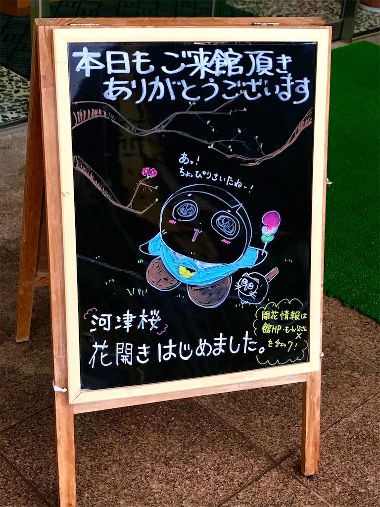 f:id:ken-goldjapan:20250316222524j:image