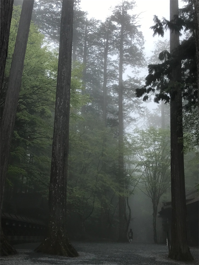f:id:ken-goldjapan:20250511212841j:image