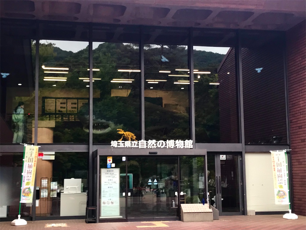 f:id:ken-goldjapan:20250511212846j:image