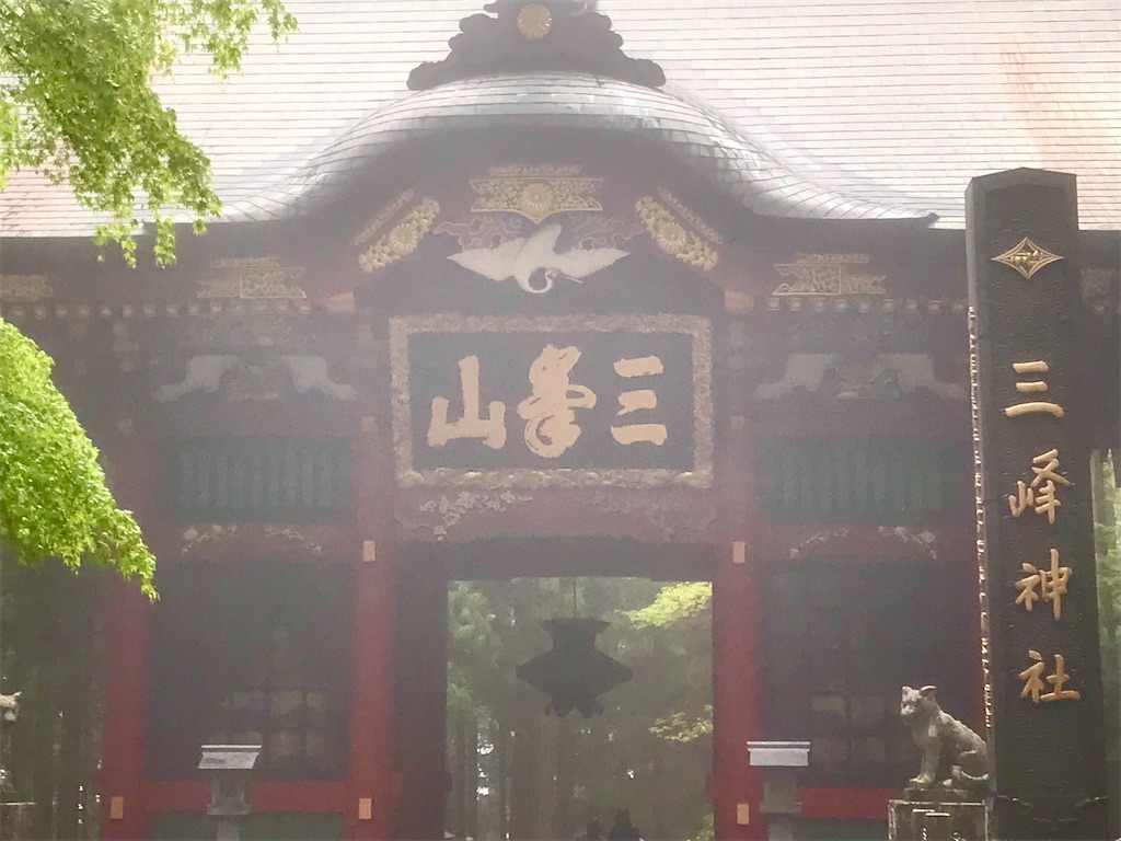 f:id:ken-goldjapan:20250511212939j:image