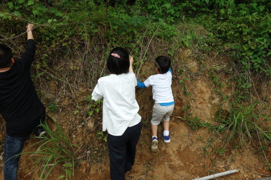 f:id:ken-ikenobo:20180506111418j:plain f:id:ken-ikenobo:20180506111418j:plain