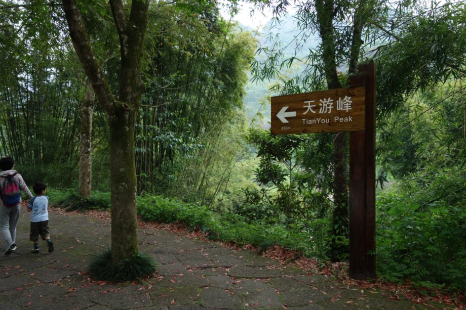 f:id:ken-ikenobo:20180506120014j:plain f:id:ken-ikenobo:20180506120014j:plain
