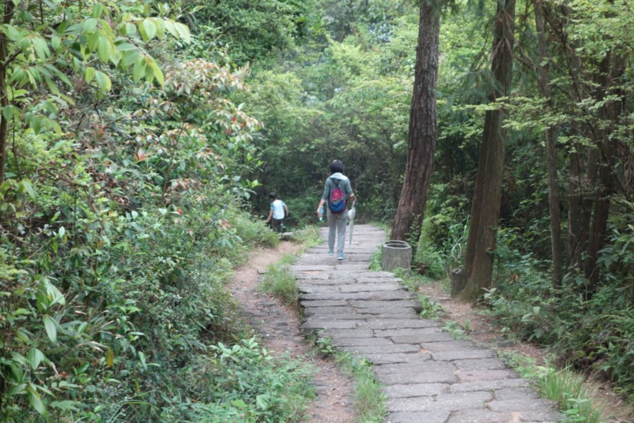 f:id:ken-ikenobo:20180506120139j:plain f:id:ken-ikenobo:20180506120139j:plain