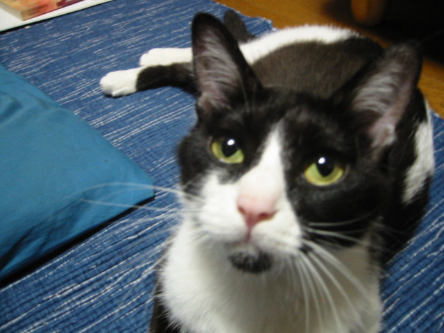 f:id:ken-itschie:20020628193452j:image