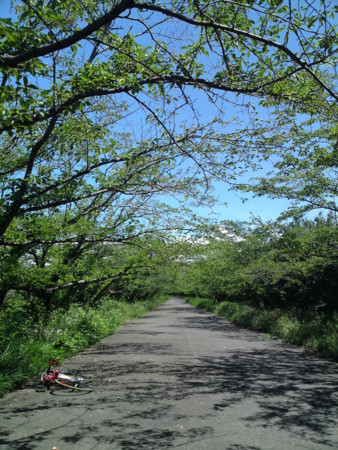 f:id:ken-itschie:20100806105446j:image f:id:ken-itschie:20100806105446j:image
