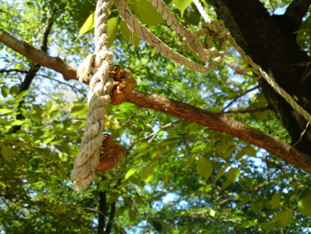 f:id:ken-itschie:20100807153349j:image