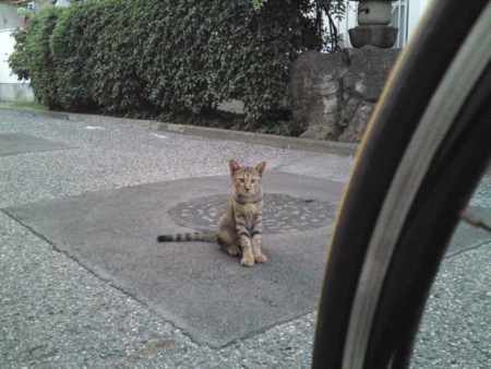 f:id:ken-itschie:20100911182523j:image