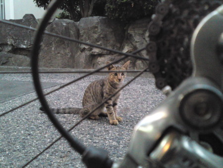 f:id:ken-itschie:20100911182605j:image