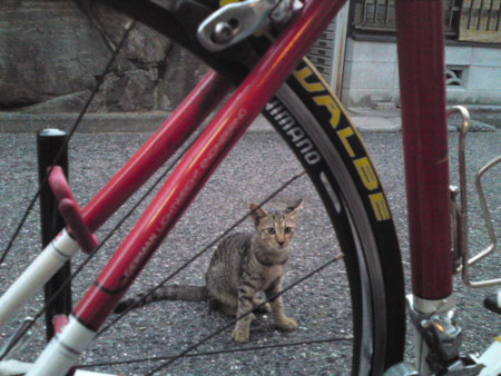 f:id:ken-itschie:20100911182822j:image