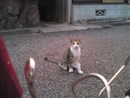 f:id:ken-itschie:20100911183038j:image