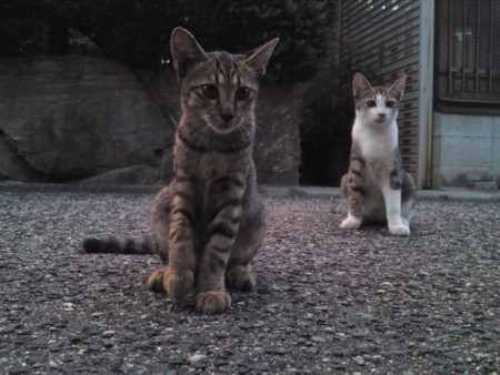 f:id:ken-itschie:20100911183142j:image