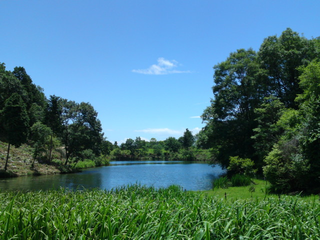 f:id:ken-itschie:20110625120507j:image