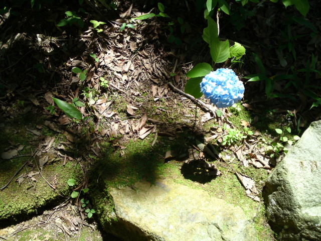 f:id:ken-itschie:20110625122112j:image