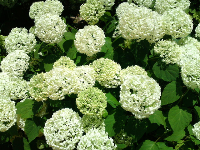 f:id:ken-itschie:20110625122353j:image