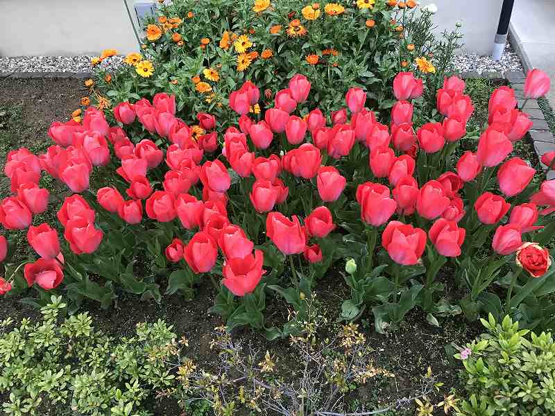 f:id:ken-j:20200422061902j:plain f:id:ken-j:20200422061902j:plain