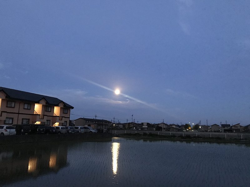 f:id:ken-j:20200508182939j:plain f:id:ken-j:20200508182939j:plain