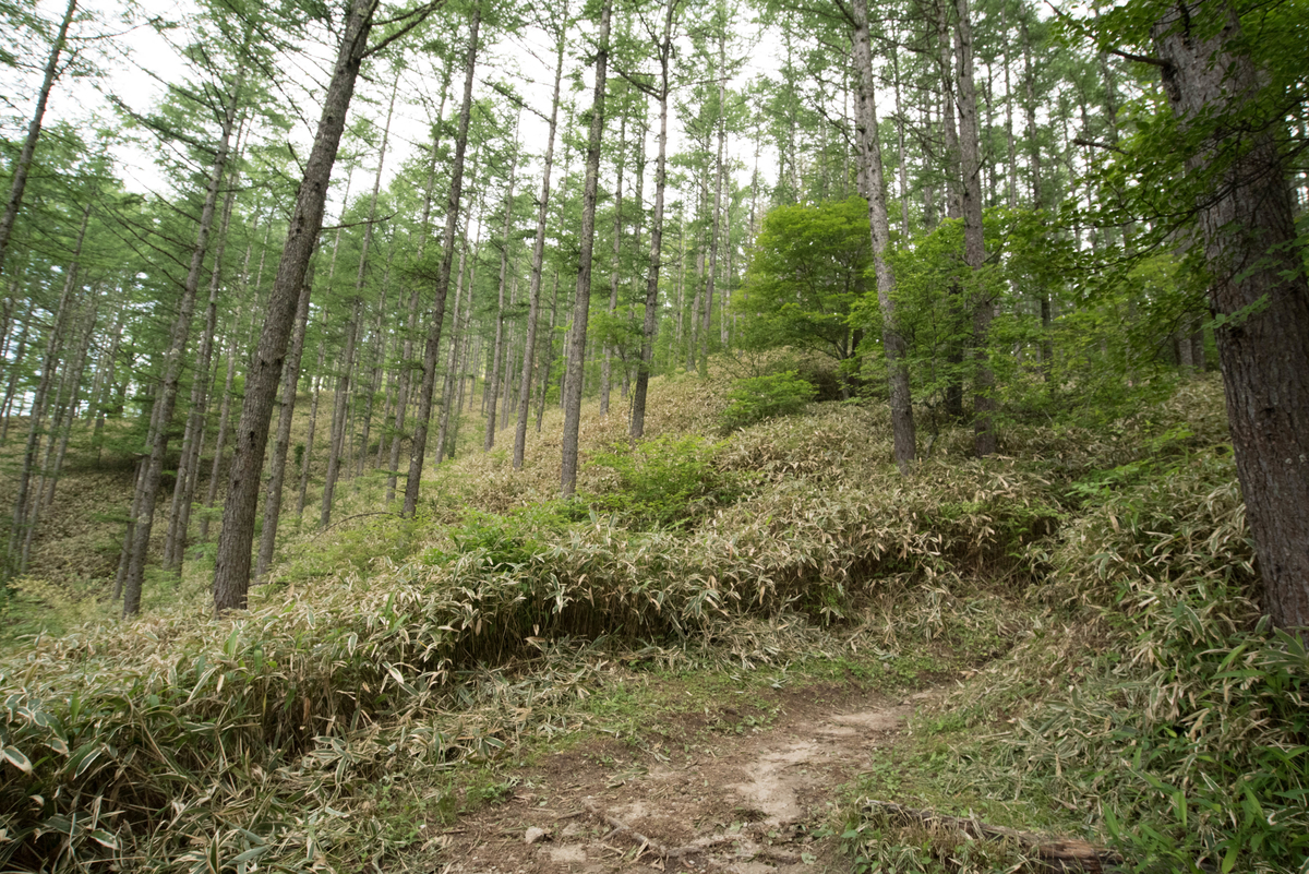 f:id:ken-shibu:20190714174839j:plain f:id:ken-shibu:20190714174839j:plain