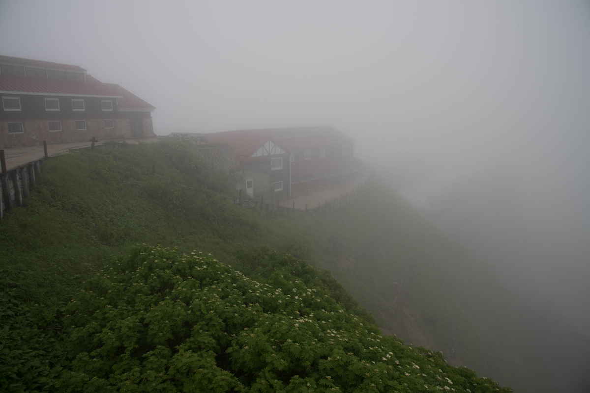f:id:ken-shibu:20190716182328j:plain f:id:ken-shibu:20190716182328j:plain