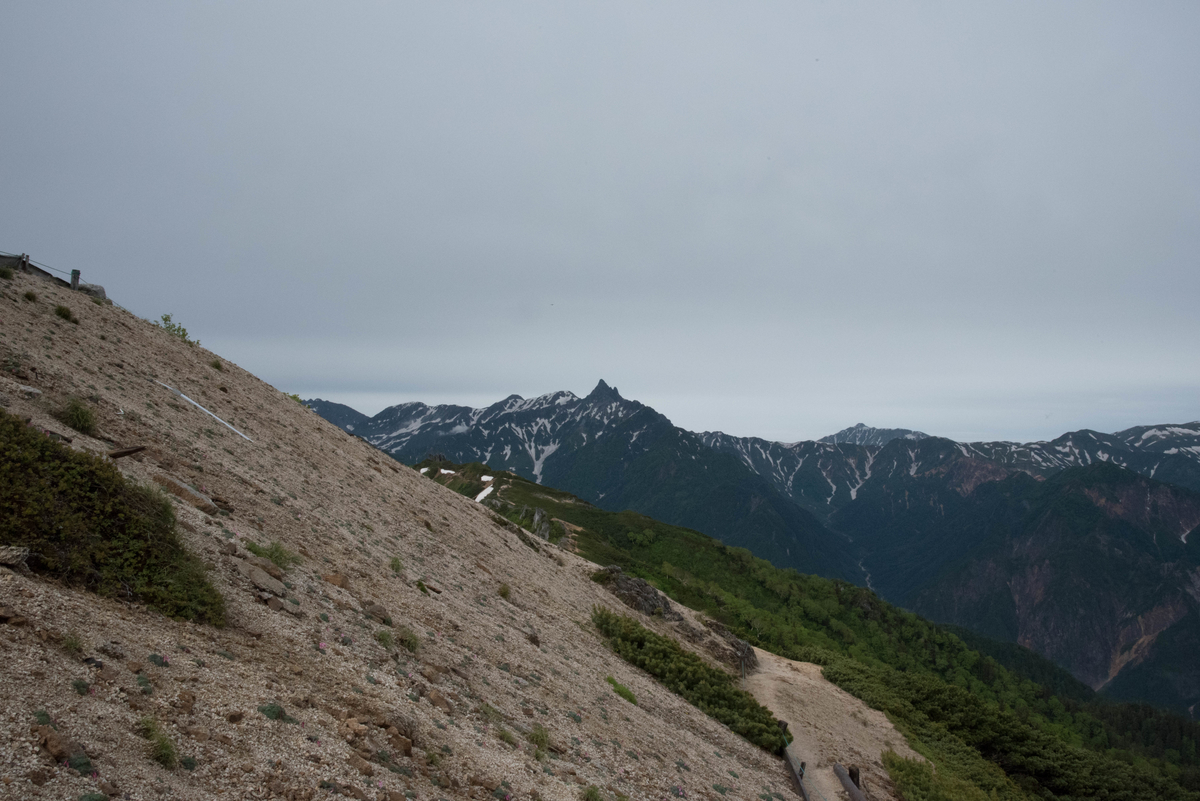 f:id:ken-shibu:20190716185141j:plain f:id:ken-shibu:20190716185141j:plain