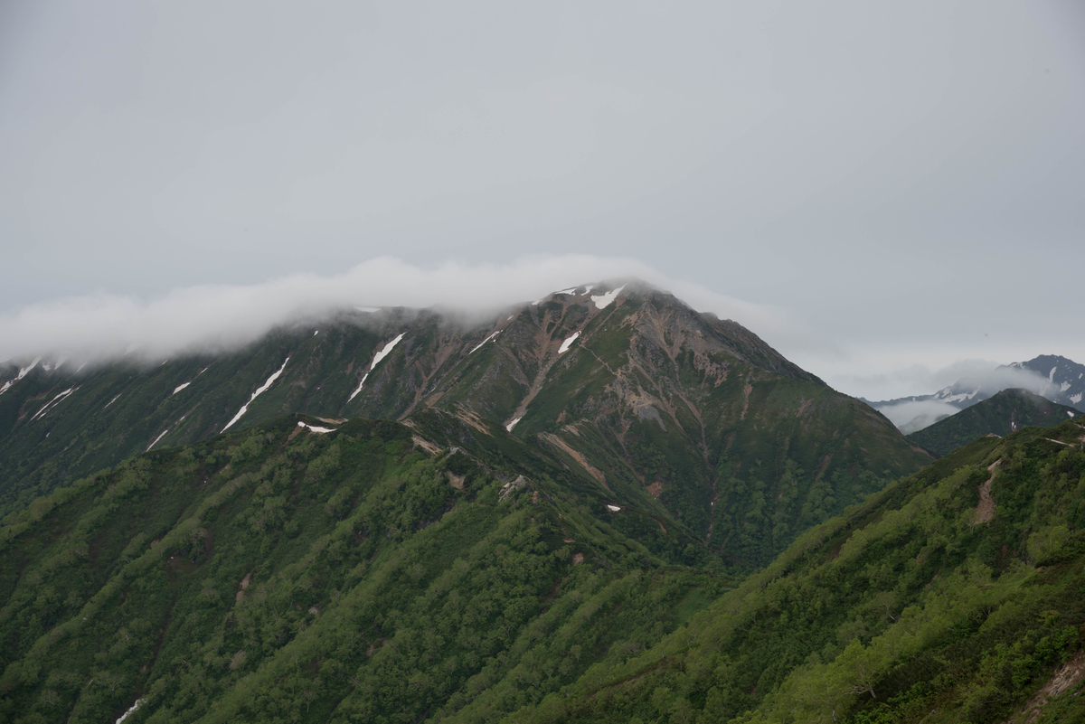 f:id:ken-shibu:20190716185555j:plain f:id:ken-shibu:20190716185555j:plain