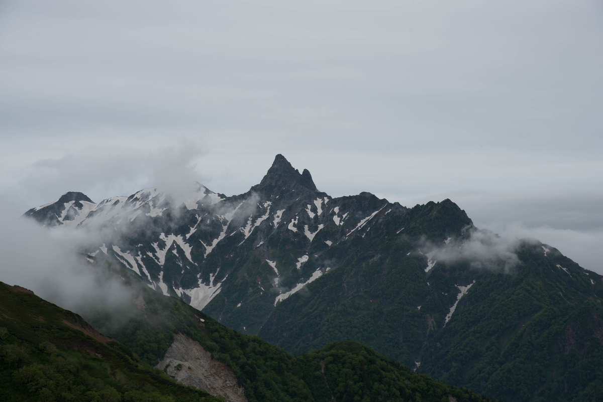 f:id:ken-shibu:20190716185843j:plain f:id:ken-shibu:20190716185843j:plain