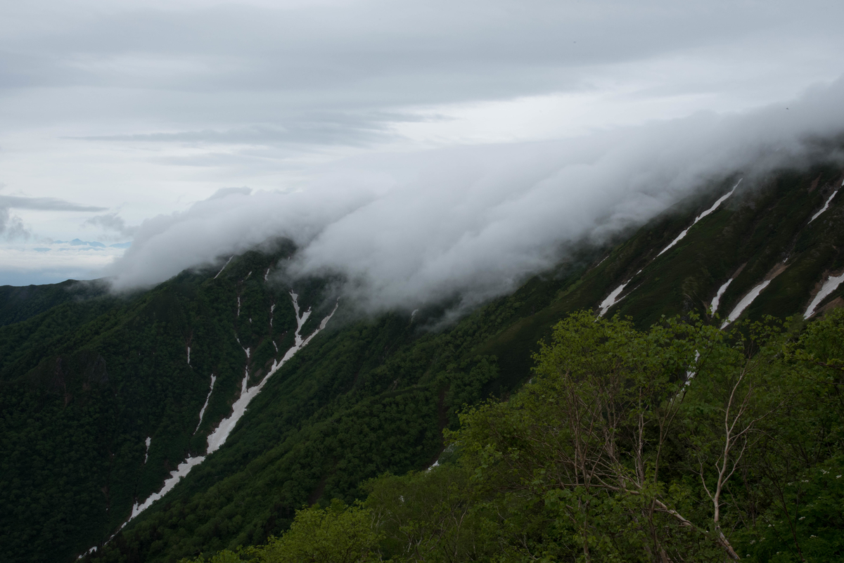 f:id:ken-shibu:20190716185846j:plain f:id:ken-shibu:20190716185846j:plain