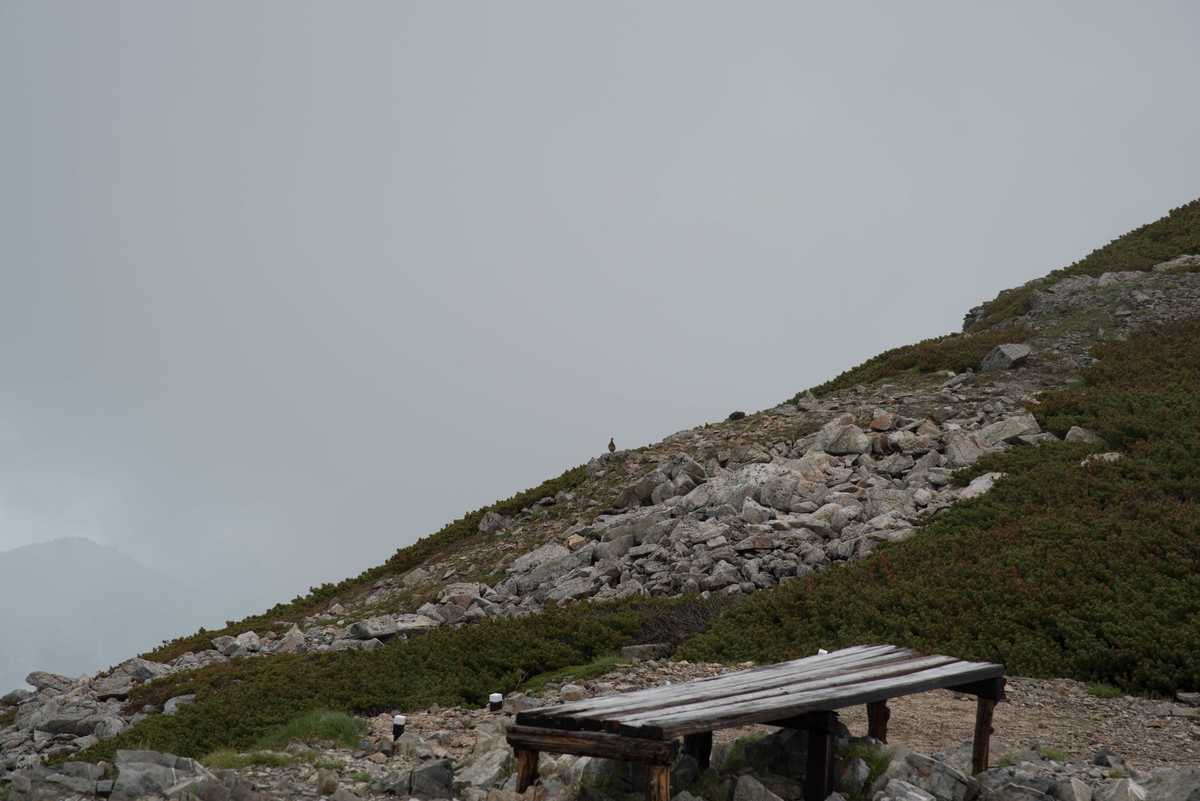 f:id:ken-shibu:20190724190220j:plain f:id:ken-shibu:20190724190220j:plain