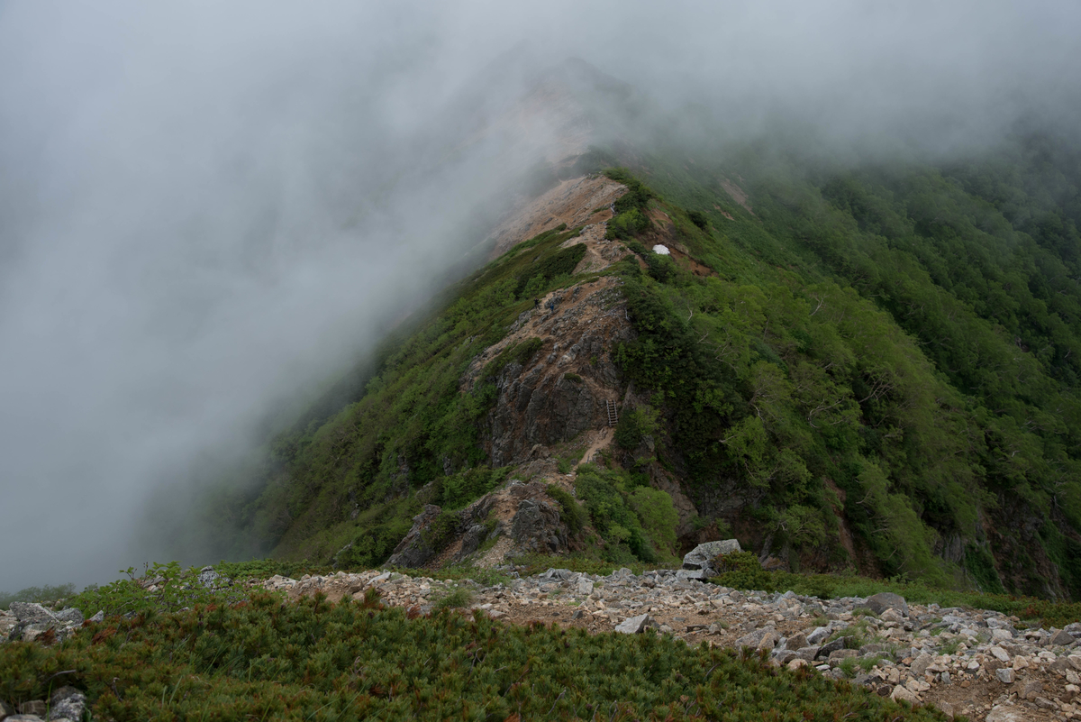 f:id:ken-shibu:20190724220718j:plain f:id:ken-shibu:20190724220718j:plain