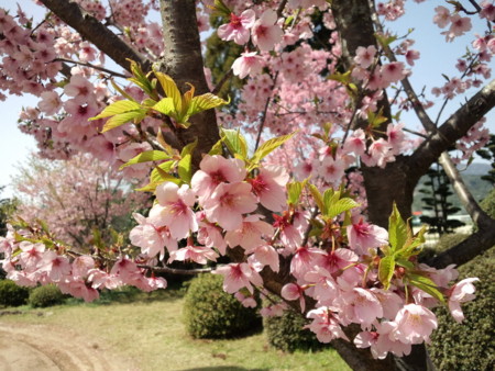 f:id:ken0328:20120331193246j:image f:id:ken0328:20120331193246j:image