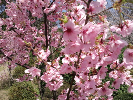 f:id:ken0328:20120331193250j:image f:id:ken0328:20120331193250j:image