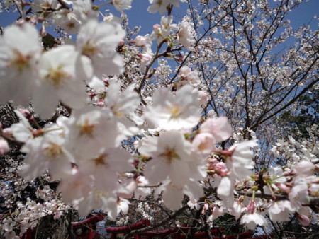 f:id:ken0328:20120331193254j:image f:id:ken0328:20120331193254j:image