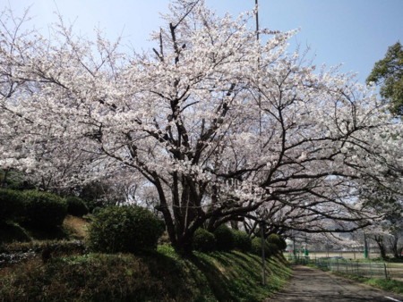 f:id:ken0328:20120331193300j:image f:id:ken0328:20120331193300j:image