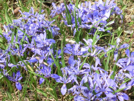 f:id:ken0328:20120408215556j:image