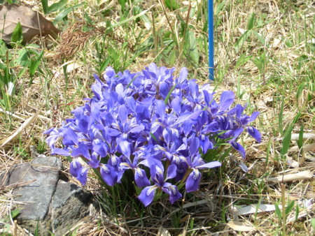 f:id:ken0328:20120408215841j:image f:id:ken0328:20120408215841j:image