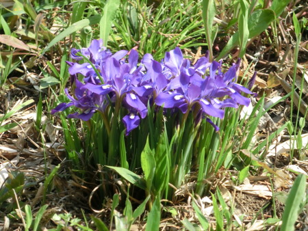 f:id:ken0328:20120408220408j:image f:id:ken0328:20120408220408j:image