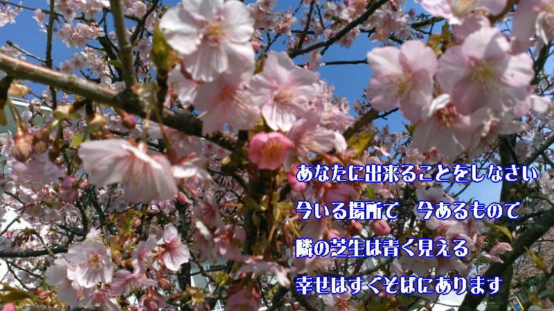 f:id:ken102019:20200128161327j:plain