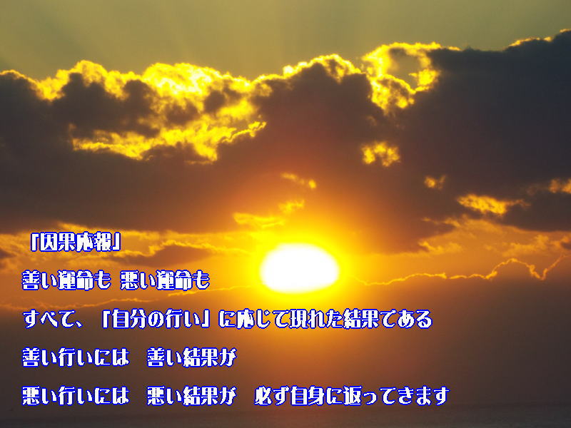 f:id:ken102019:20200205110500j:plain