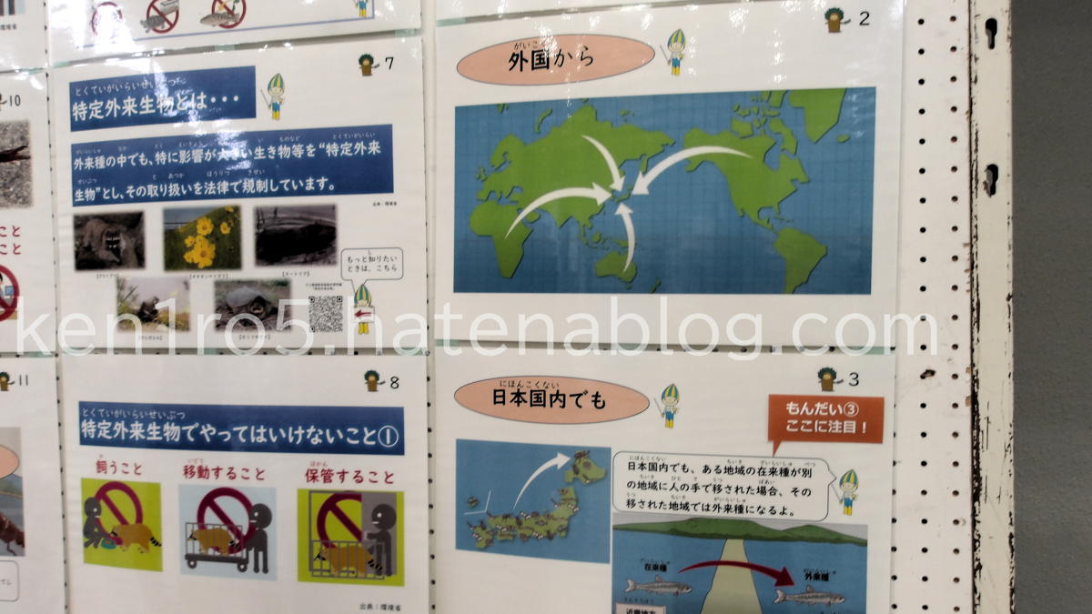 外来種の説明