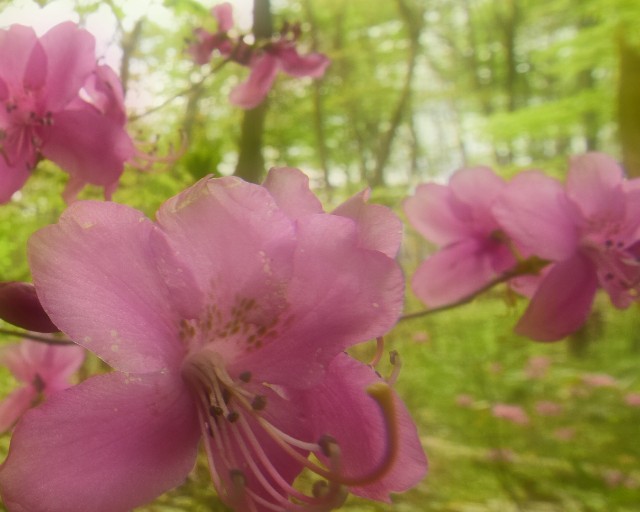 f:id:ken2chang:20200507140937j:image f:id:ken2chang:20200507140937j:image