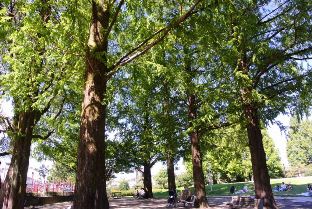 f:id:ken530000:20150919122005j:plain f:id:ken530000:20150919122005j:plain