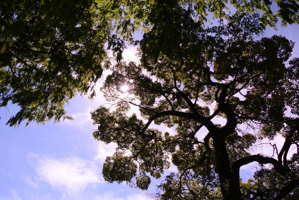 f:id:ken530000:20150919122139j:plain f:id:ken530000:20150919122139j:plain