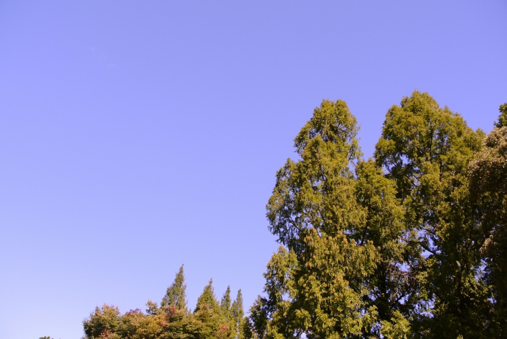 f:id:ken530000:20150919124605j:plain f:id:ken530000:20150919124605j:plain