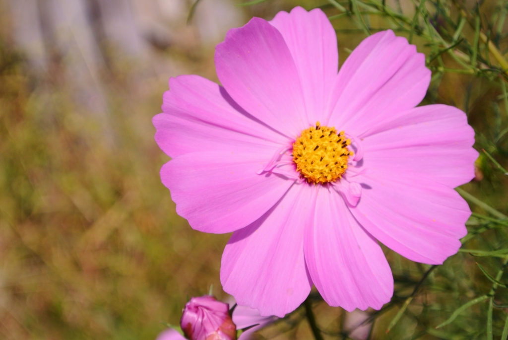 f:id:ken530000:20151004203601j:plain