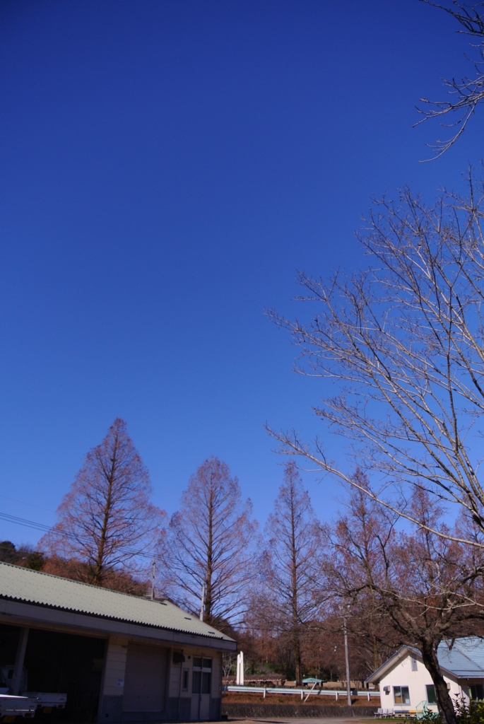 f:id:ken530000:20151219160851j:plain 青い空