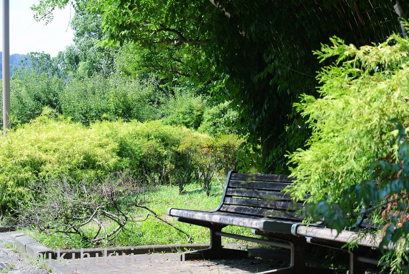 f:id:ken530000:20170719160218j:plain f:id:ken530000:20170719160218j:plain