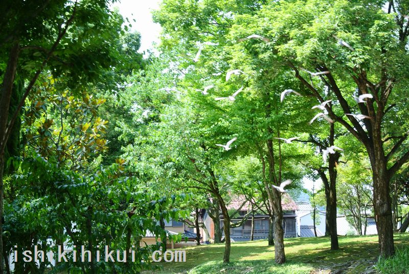 f:id:ken530000:20170719160445j:plain f:id:ken530000:20170719160445j:plain